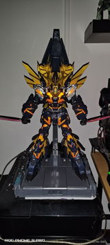 Savvas review photo