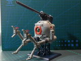 Wihan Calitz review photo