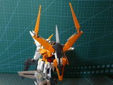 Wihan Calitz review photo
