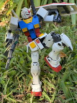 Jacques review photo