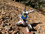 Jacques review photo