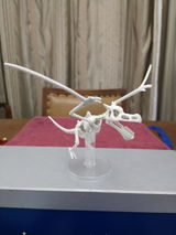Jo review photo