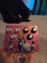 Bear B. review photo