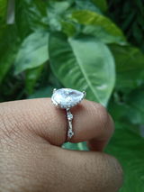 Megha review photo