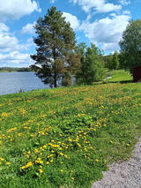 Birgitta N. anmeldelsesbilde