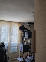 Filip K. review photo