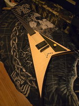 Richard Goodson review photo
