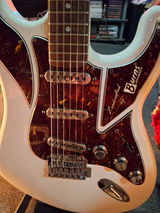 Andrew Bartley review photo