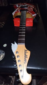 Jason Richardson review photo