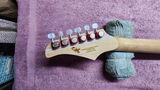BJ Neblett review photo