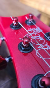 Sylvain Pare review photo