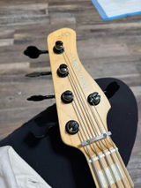 Joshua Saez review photo