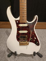 Nic review photo