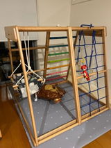 M.F. review photo