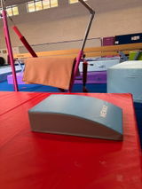 Brighton Rec Gymnastics review photo