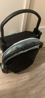 Bee review photo