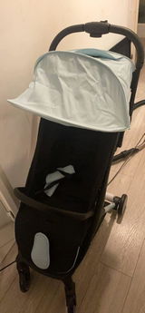Bee review photo