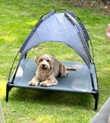 Deb & Rosie cockapoo review photo