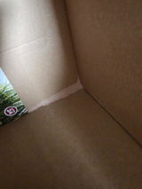 Saskia review photo