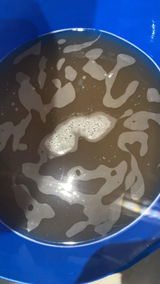 Andrea Markwick review photo