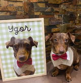 Ygor review photo