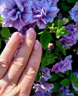 Manuela D. review photo