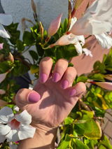 Marijana R. review photo