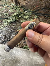 JOSE ALFREDO MARROQUIN ALVARADO review photo