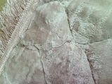 Abdul Hameed Butt review photo