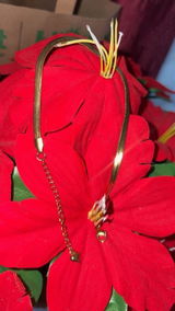 Rekha G review photo