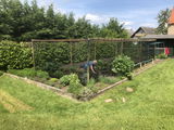 W.B. review photo