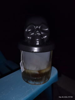 Review picture