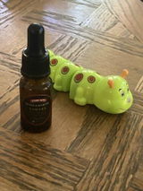 Shane H. review photo