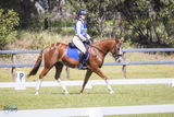 S.D. review photo