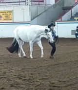 COwens review photo