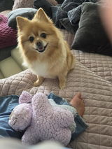 Anonymous review photo