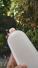 WS review photo