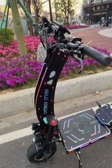 Gysi review photo