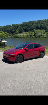 Lyin Free Car Lion review photo