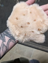 BewilderedKat review photo