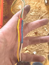 Travis review photo