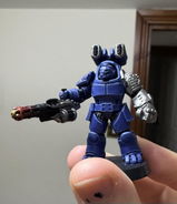 Harry S. review photo
