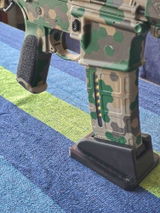 Perry review photo