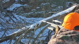 Treg W. review photo