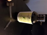 Aracelis Amadeo review photo