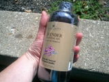 Diotima review photo