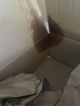 Penneyeddie review photo