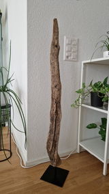 Philip Eggenberger review photo