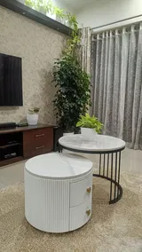 Rajesh Dsouza review photo