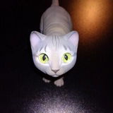 Mara review photo